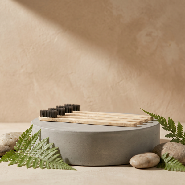 LumySmile bamboo toothbrushes arranged on a natural stone pedestal with fern